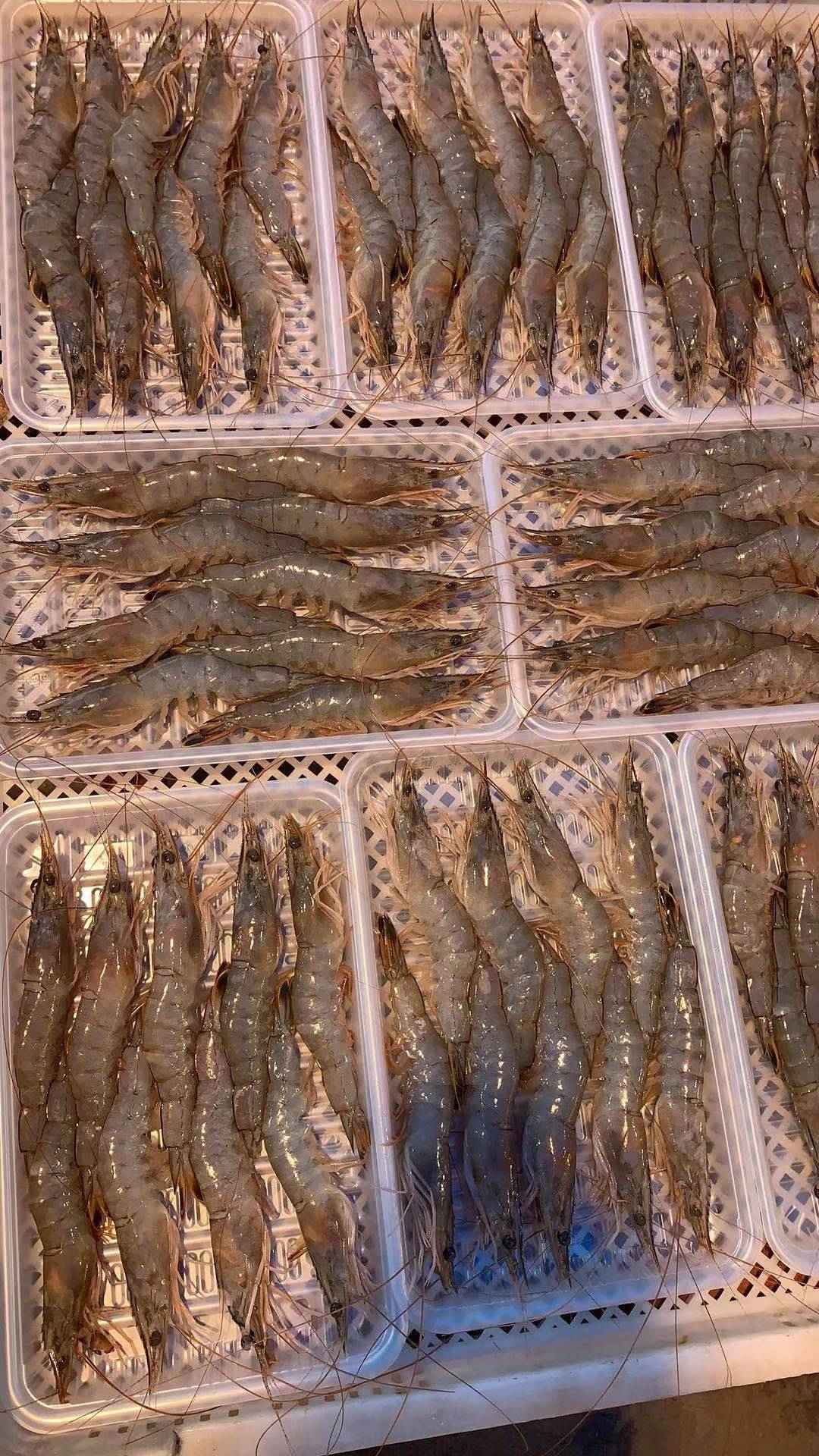 青島盛海明嘉貿(mào)易有限公司——客戶第一、團隊合作、擁抱變化(圖9)