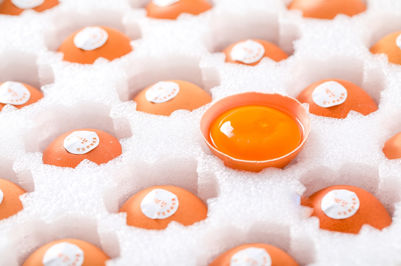 大連川洋貿(mào)易有限公司——匠人初心，誠(chéng)信為客戶——匠人初心，誠(chéng)信為客戶(圖5)