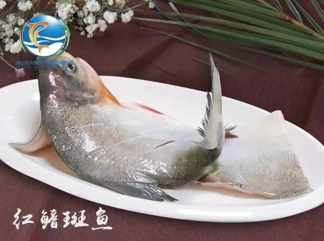 佛山市大斑水產(chǎn)科技有限公司——良心品質(zhì)，堅持承諾(圖4)