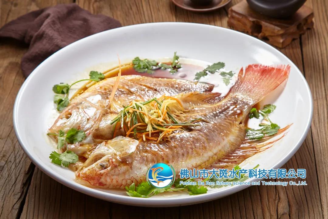 佛山市大斑水產(chǎn)科技有限公司——良心品質(zhì)，堅持承諾(圖5)