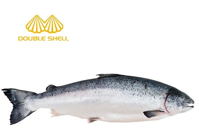 巴鮮島食品（上海）有限公司——專業(yè)的服務(wù)態(tài)度，優(yōu)良的產(chǎn)品質(zhì)量(圖4)