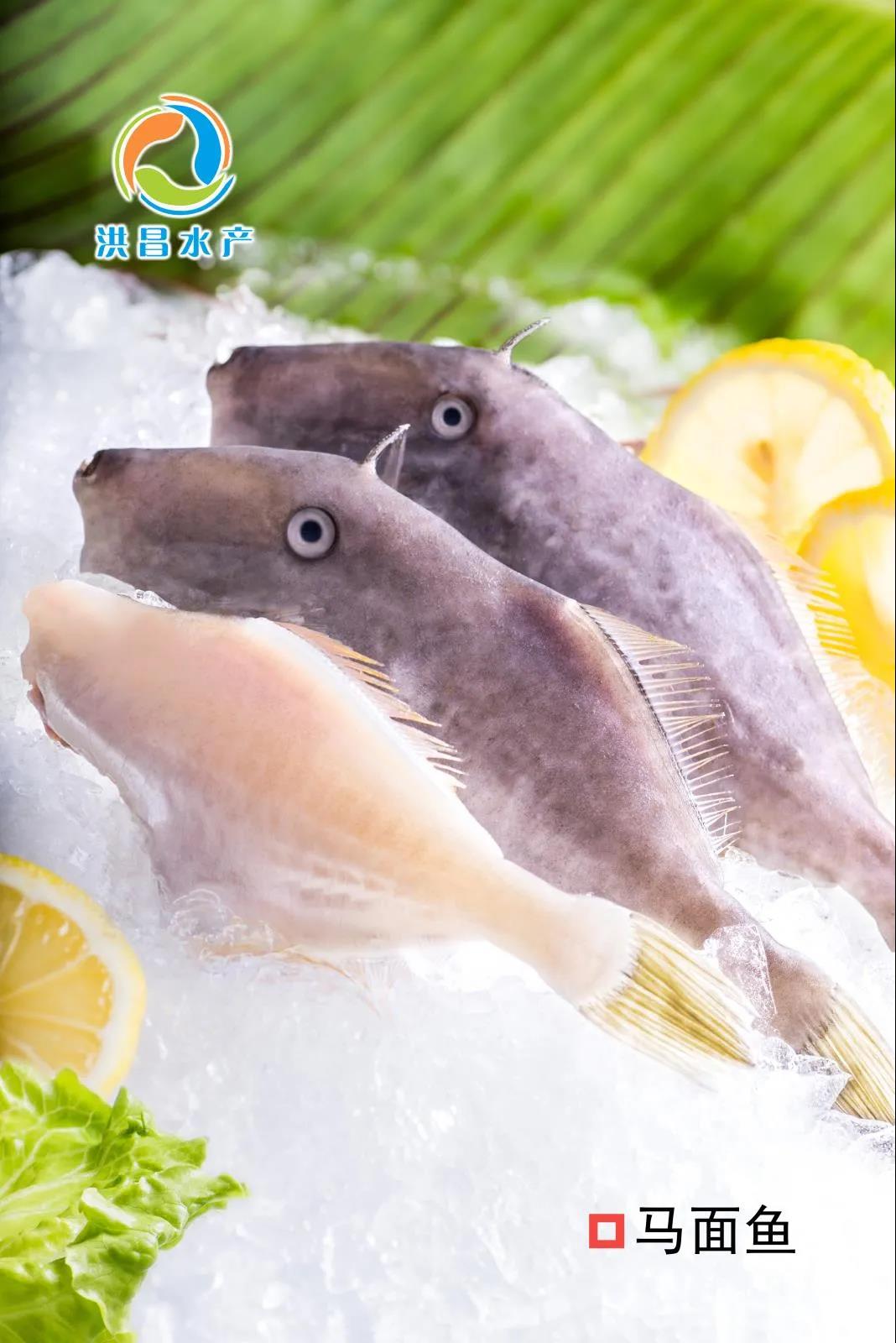 北海洪昌水產有限公司誠邀您參加第16屆上海國際漁業(yè)博覽會！(圖5)