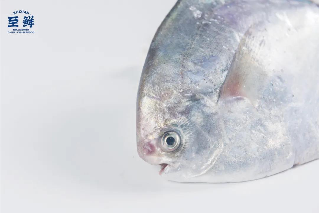 江蘇呂四至鮮食品有限公司——專注呂四海鮮全產(chǎn)業(yè)鏈服務(wù)(圖10)