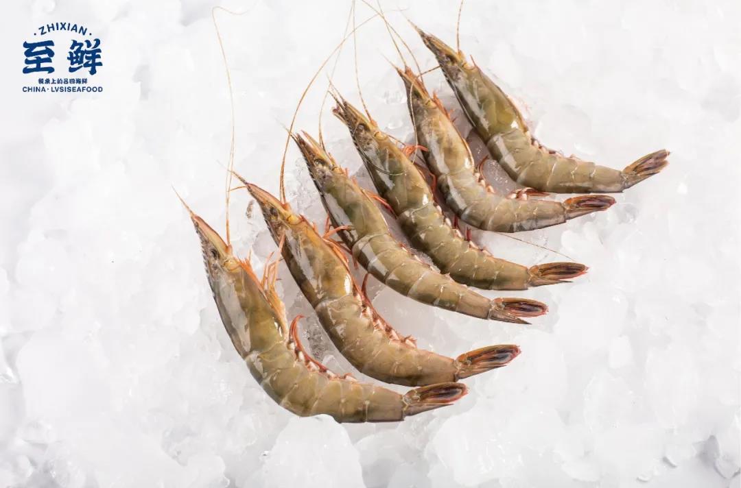 江蘇呂四至鮮食品有限公司——專注呂四海鮮全產(chǎn)業(yè)鏈服務(wù)(圖11)