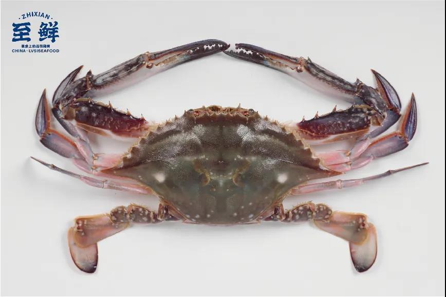 江蘇呂四至鮮食品有限公司——專注呂四海鮮全產(chǎn)業(yè)鏈服務(wù)(圖12)