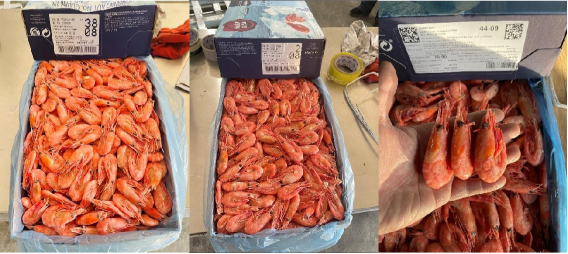 【加拿大北極蝦專(zhuān)場(chǎng)】大連碧臻國(guó)際貿(mào)易有限公司誠(chéng)邀您參加第16屆上海國(guó)際漁業(yè)博覽會(huì)！(圖5)