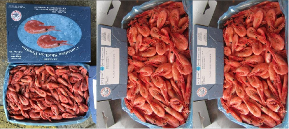 【加拿大北極蝦專(zhuān)場(chǎng)】大連碧臻國(guó)際貿(mào)易有限公司誠(chéng)邀您參加第16屆上海國(guó)際漁業(yè)博覽會(huì)！(圖4)