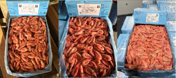 【加拿大北極蝦專(zhuān)場(chǎng)】大連碧臻國(guó)際貿(mào)易有限公司誠(chéng)邀您參加第16屆上海國(guó)際漁業(yè)博覽會(huì)！(圖6)