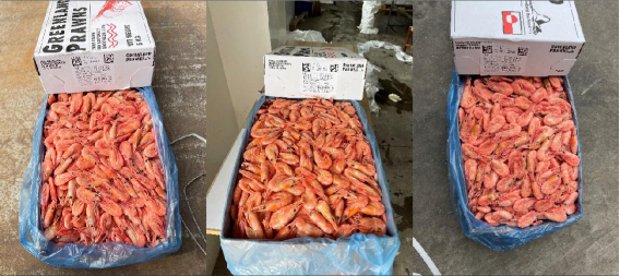 【加拿大北極蝦專(zhuān)場(chǎng)】大連碧臻國(guó)際貿(mào)易有限公司誠(chéng)邀您參加第16屆上海國(guó)際漁業(yè)博覽會(huì)！(圖7)