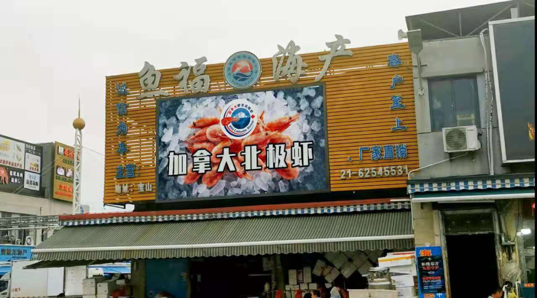 加拿大北極蝦生產(chǎn)商協(xié)會(huì)走進(jìn)上海漁博會(huì)：帶領(lǐng)進(jìn)口商開拓國內(nèi)市場(chǎng)新局面！(圖5)