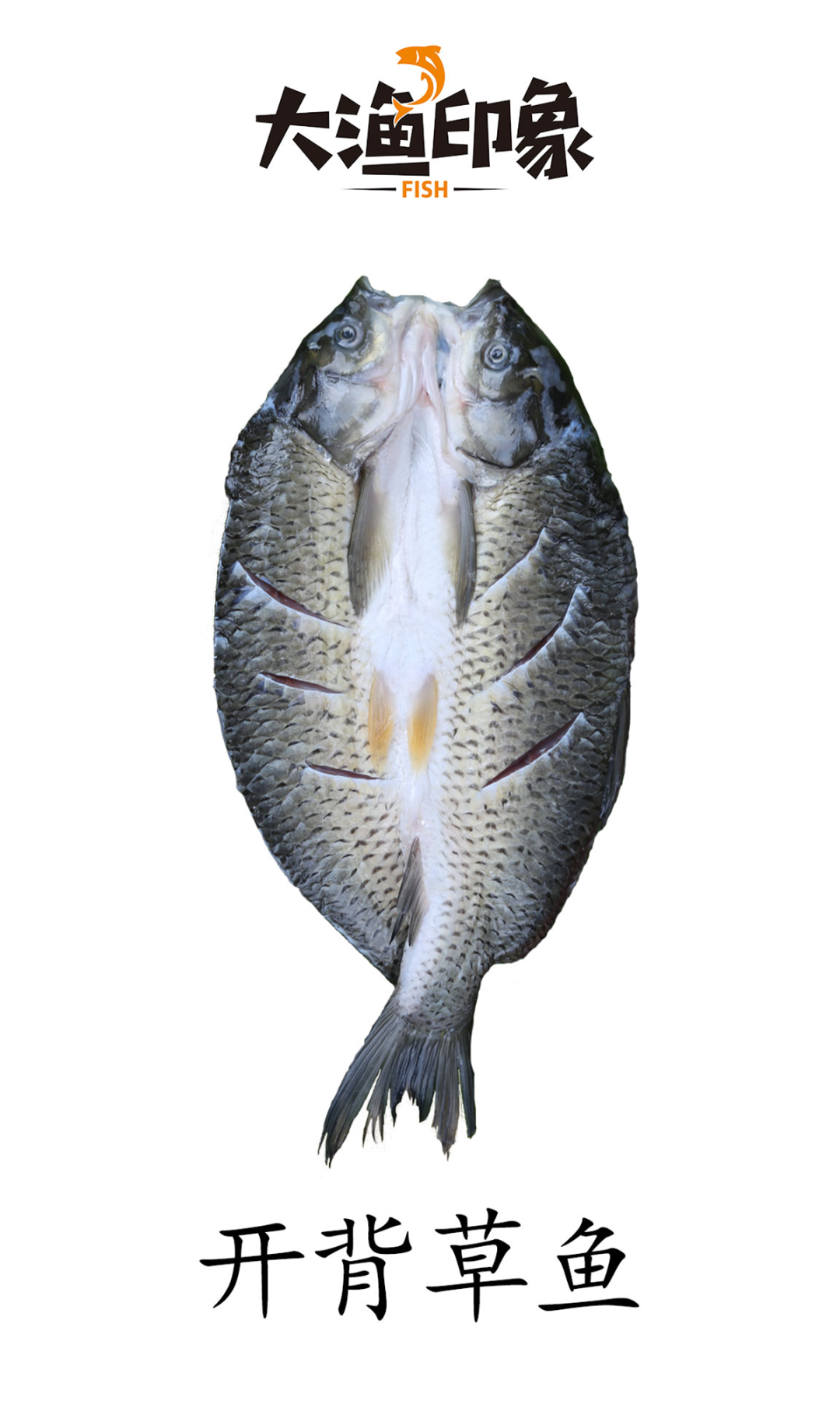 湖南晟湖食品有限公司誠邀您參加第16屆上海國際漁業(yè)博覽會！(圖4)