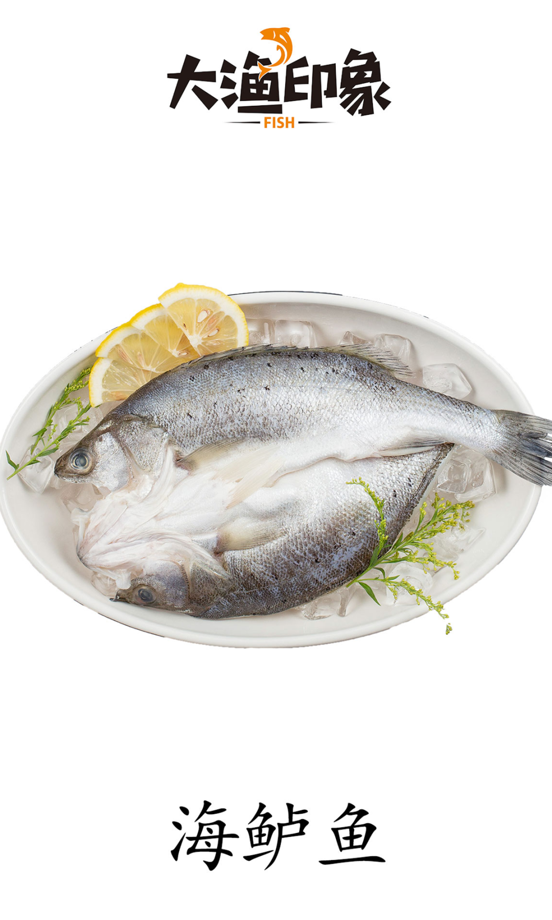 湖南晟湖食品有限公司誠邀您參加第16屆上海國際漁業(yè)博覽會！(圖5)