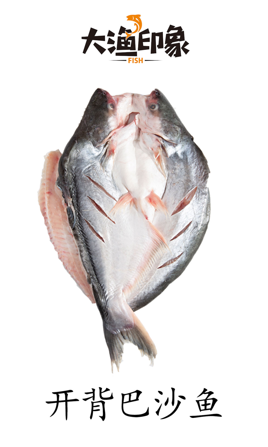 湖南晟湖食品有限公司誠邀您參加第16屆上海國際漁業(yè)博覽會！(圖7)