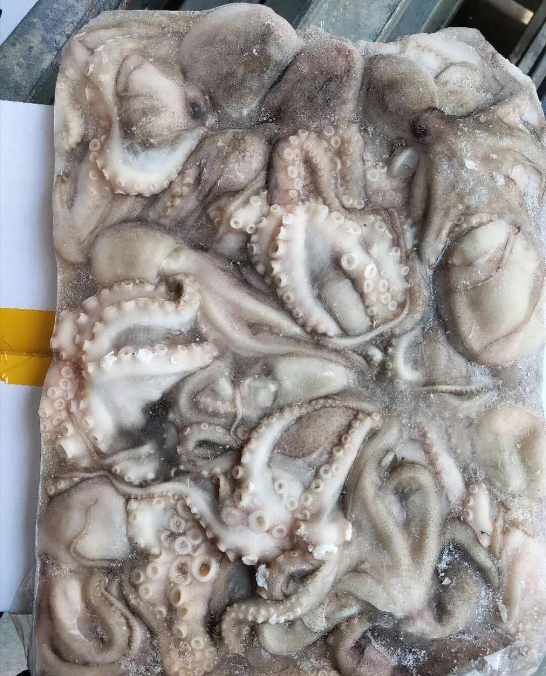 榮成市海立方水產(chǎn)品有限公司——用心精選，嚴(yán)控品質(zhì)(圖5)