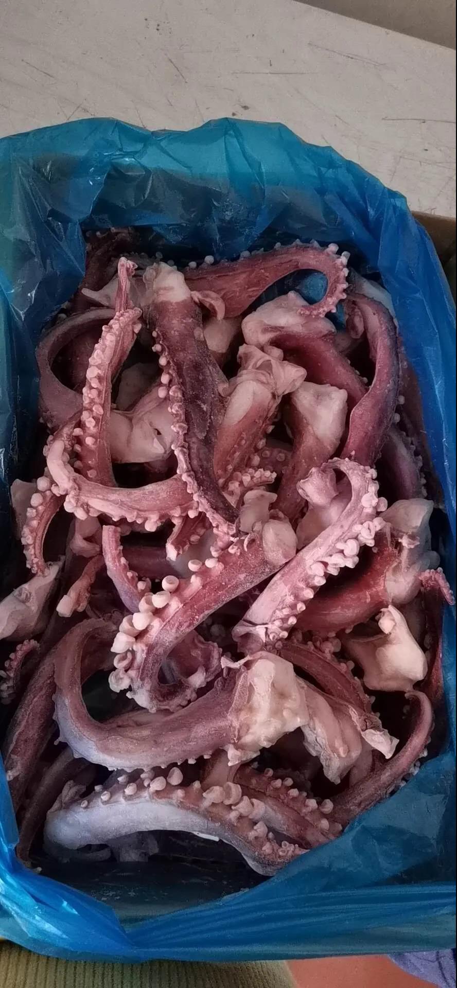 榮成市海立方水產(chǎn)品有限公司——用心精選，嚴(yán)控品質(zhì)(圖6)