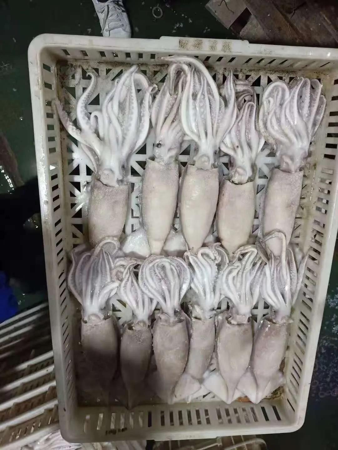 榮成市海立方水產(chǎn)品有限公司——用心精選，嚴(yán)控品質(zhì)(圖7)