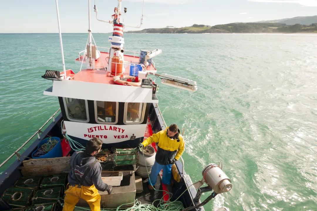 2021酒店餐飲業(yè)可持續(xù)海產(chǎn)品采購高峰論壇8月26日于上海重磅開啟(圖8)