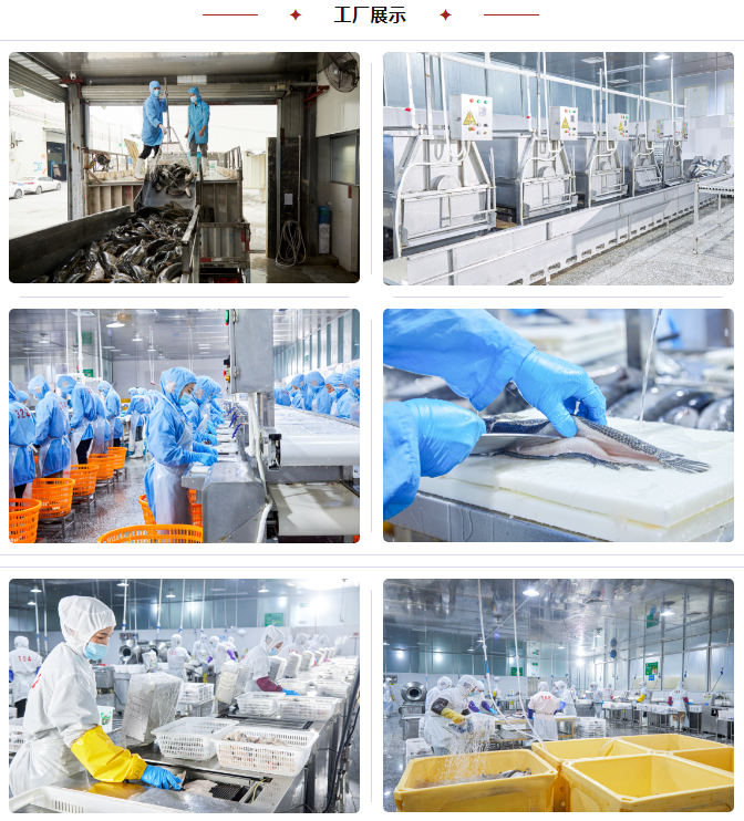 肇慶市中業(yè)水產(chǎn)有限公司——以市場為導向，以品質為根本(圖1)