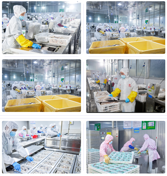 肇慶市中業(yè)水產(chǎn)有限公司——以市場為導向，以品質為根本(圖2)