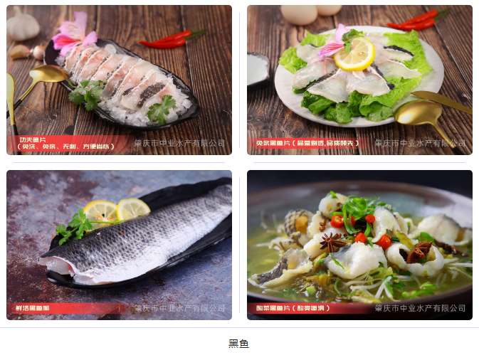 肇慶市中業(yè)水產(chǎn)有限公司——以市場為導向，以品質為根本(圖10)