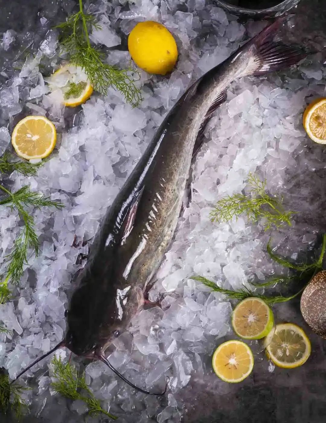 廣西金海盈食品有限公司誠邀您參加第16屆上海國際漁業(yè)博覽會(圖5)