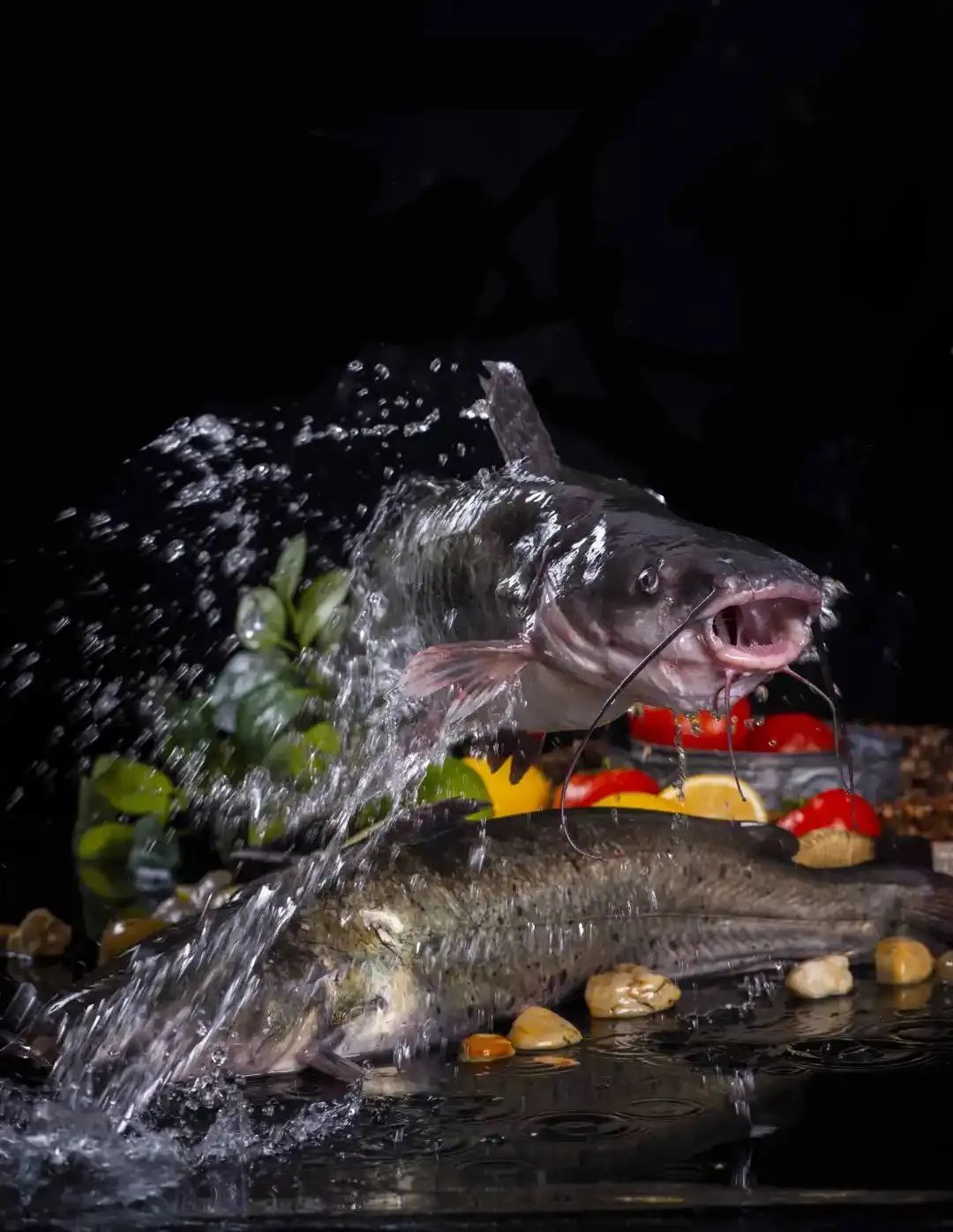 廣西金海盈食品有限公司誠邀您參加第16屆上海國際漁業(yè)博覽會(圖4)