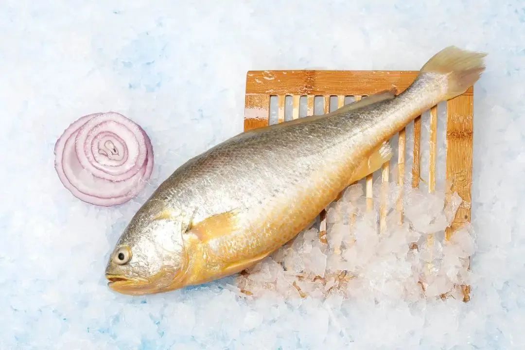 廣西金海盈食品有限公司誠邀您參加第16屆上海國際漁業(yè)博覽會(圖3)