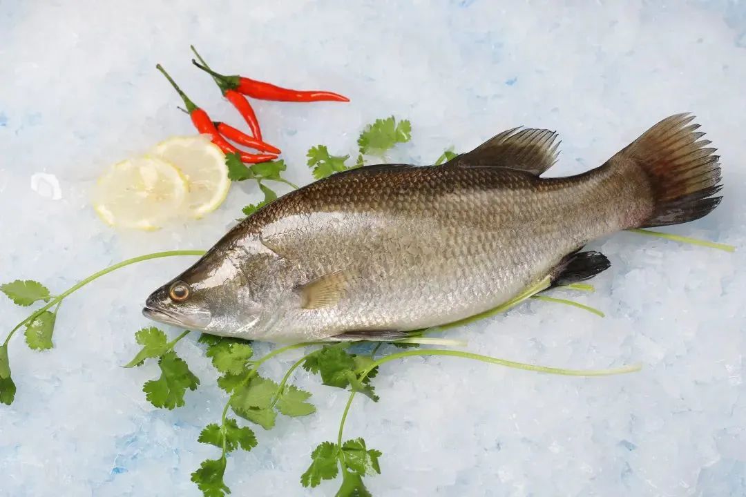 廣西金海盈食品有限公司誠邀您參加第16屆上海國際漁業(yè)博覽會(圖14)