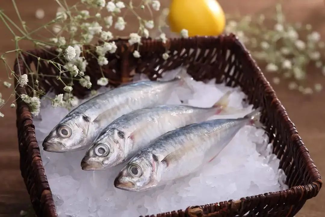 廣西金海盈食品有限公司誠邀您參加第16屆上海國際漁業(yè)博覽會(圖13)