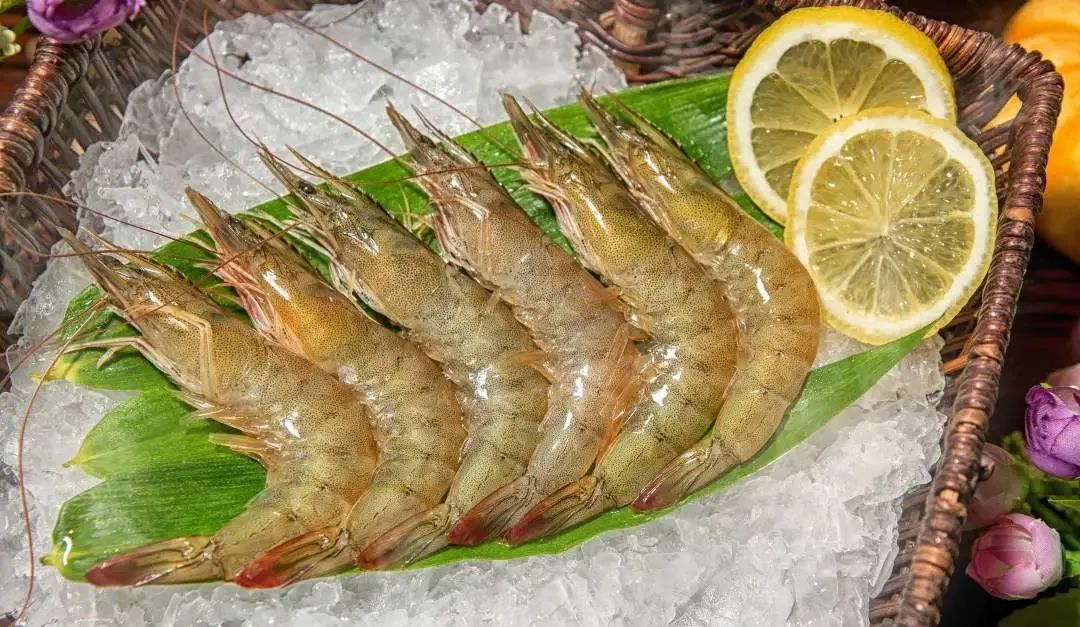 廣西金海盈食品有限公司誠邀您參加第16屆上海國際漁業(yè)博覽會(圖16)