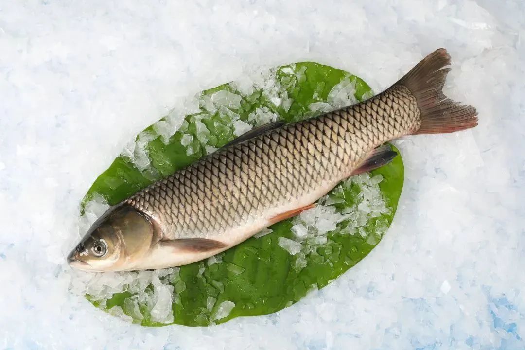 廣西金海盈食品有限公司誠邀您參加第16屆上海國際漁業(yè)博覽會(圖15)