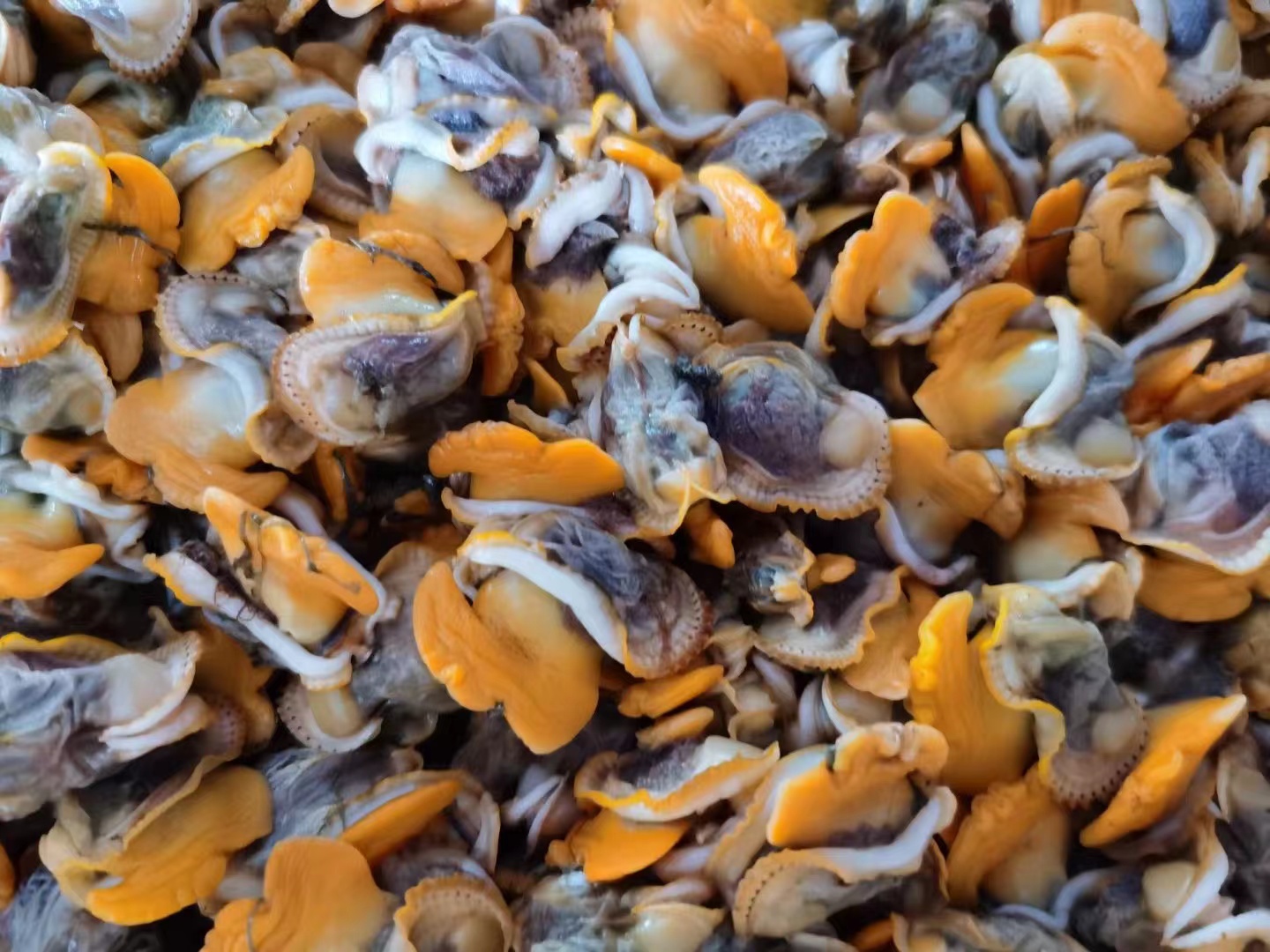 餐桌上的鮮味擔(dān)當(dāng)——盤點(diǎn)那些貝殼類產(chǎn)品供應(yīng)商(圖6)