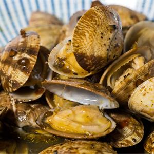 餐桌上的鮮味擔(dān)當(dāng)——盤點(diǎn)那些貝殼類產(chǎn)品供應(yīng)商(圖12)