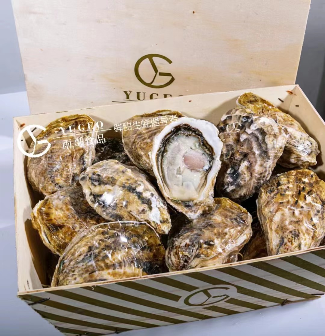 餐桌上的鮮味擔(dān)當(dāng)——盤點(diǎn)那些貝殼類產(chǎn)品供應(yīng)商(圖13)