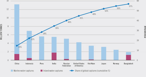 China’s Fisheries Policy Makes Belated Shift To Sustainability – Analysis(圖2) China’s Fisheries Policy Makes Belated Shift To Sustainability – Analysis(圖2)