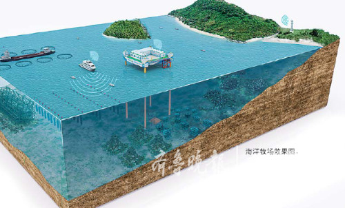 China’s Fisheries Policy Makes Belated Shift To Sustainability – Analysis(圖3) China’s Fisheries Policy Makes Belated Shift To Sustainability – Analysis(圖3)