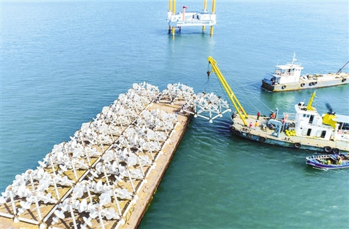 China’s Fisheries Policy Makes Belated Shift To Sustainability – Analysis(圖4) China’s Fisheries Policy Makes Belated Shift To Sustainability – Analysis(圖4)