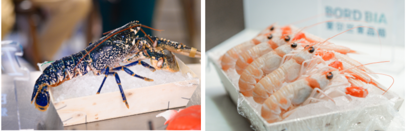 There will be more Irish seafood in China(圖1) There will be more Irish seafood in China(圖1)