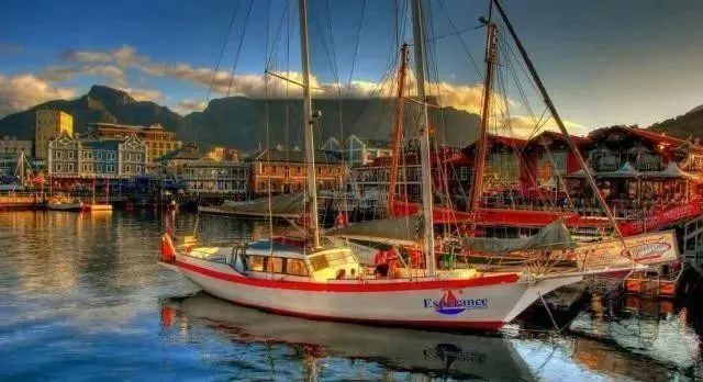 全球主流龍蝦檔案揭秘(圖17)