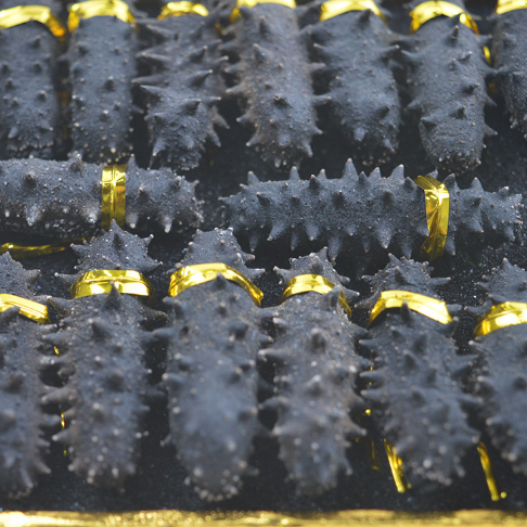 18館聯(lián)動(dòng)，18萬平米！上海漁博會(huì)規(guī)模升級(jí)，高端滋補(bǔ)館人氣火爆蓄勢(shì)待發(fā)！(圖26)