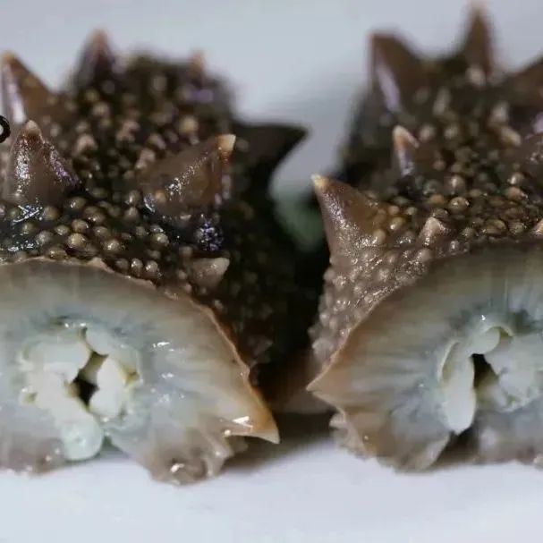 18館聯(lián)動(dòng)，18萬平米！上海漁博會(huì)規(guī)模升級(jí)，高端滋補(bǔ)館人氣火爆蓄勢(shì)待發(fā)！(圖28)