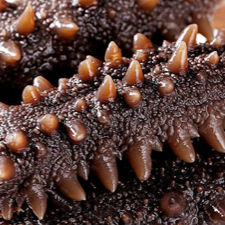 18館聯(lián)動(dòng)，18萬平米！上海漁博會(huì)規(guī)模升級(jí)，高端滋補(bǔ)館人氣火爆蓄勢(shì)待發(fā)！(圖36)