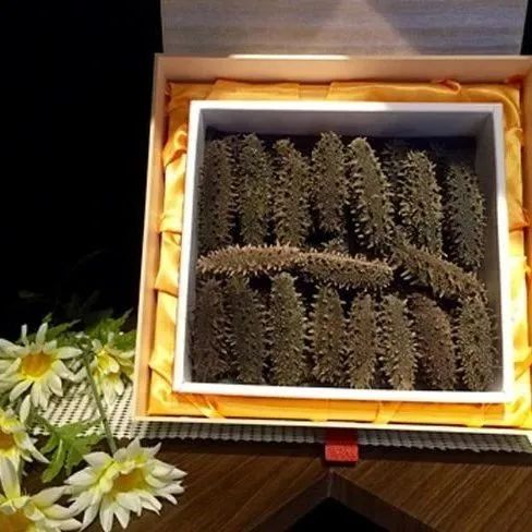 18館聯(lián)動(dòng)，18萬平米！上海漁博會(huì)規(guī)模升級(jí)，高端滋補(bǔ)館人氣火爆蓄勢(shì)待發(fā)！(圖39)