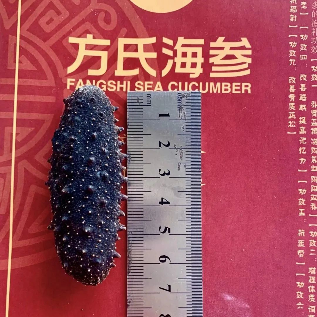 18館聯(lián)動(dòng)，18萬平米！上海漁博會(huì)規(guī)模升級(jí)，高端滋補(bǔ)館人氣火爆蓄勢(shì)待發(fā)！(圖42)