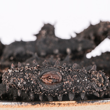 18館聯(lián)動(dòng)，18萬平米！上海漁博會(huì)規(guī)模升級(jí)，高端滋補(bǔ)館人氣火爆蓄勢(shì)待發(fā)！(圖79)