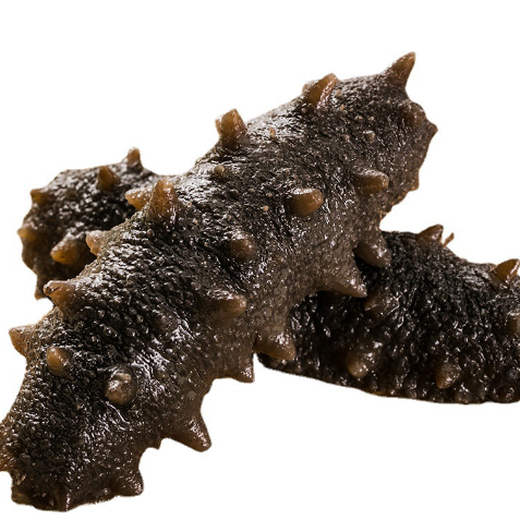 18館聯(lián)動(dòng)，18萬平米！上海漁博會(huì)規(guī)模升級(jí)，高端滋補(bǔ)館人氣火爆蓄勢(shì)待發(fā)！(圖81)