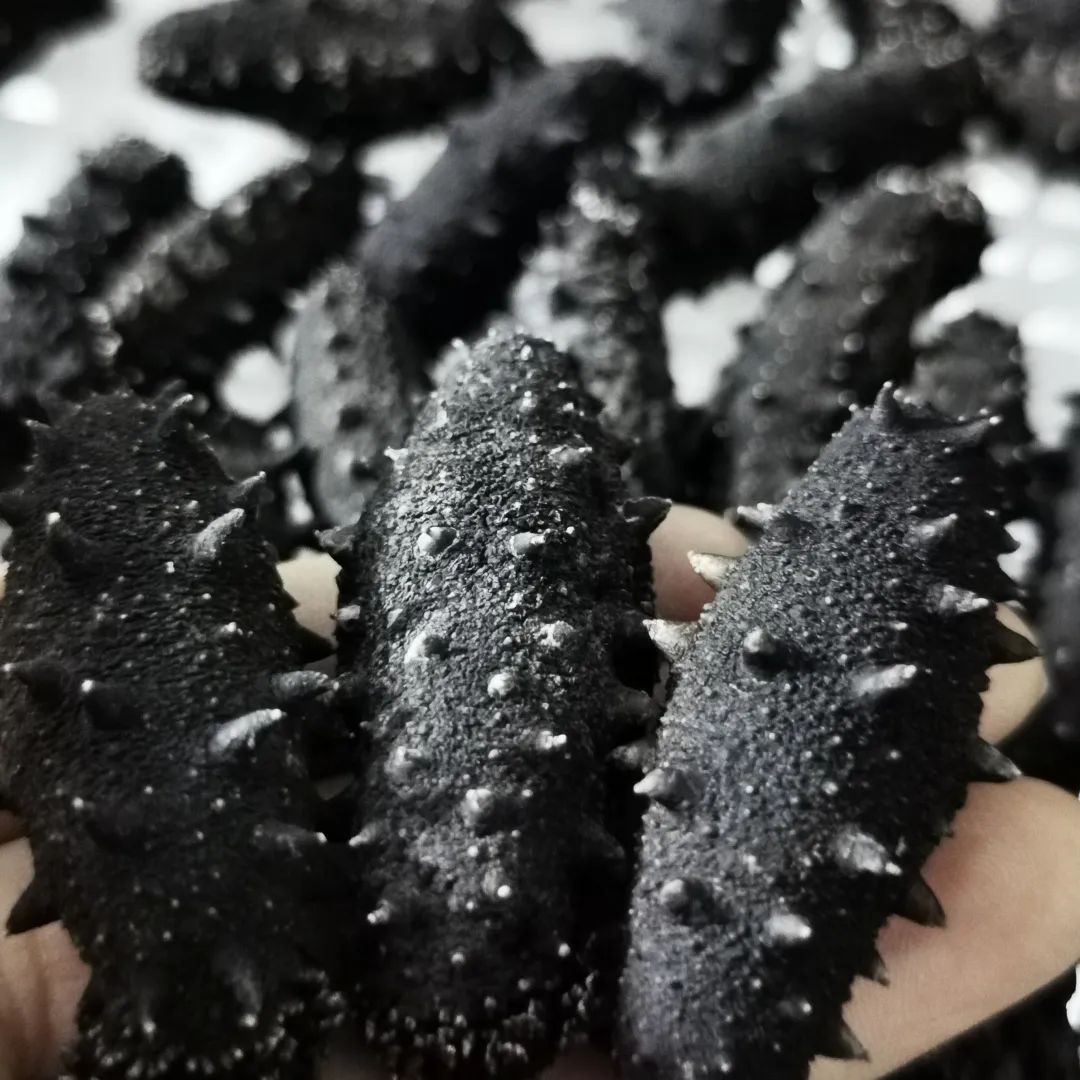 18館聯(lián)動(dòng)，18萬平米！上海漁博會(huì)規(guī)模升級(jí)，高端滋補(bǔ)館人氣火爆蓄勢(shì)待發(fā)！(圖84)