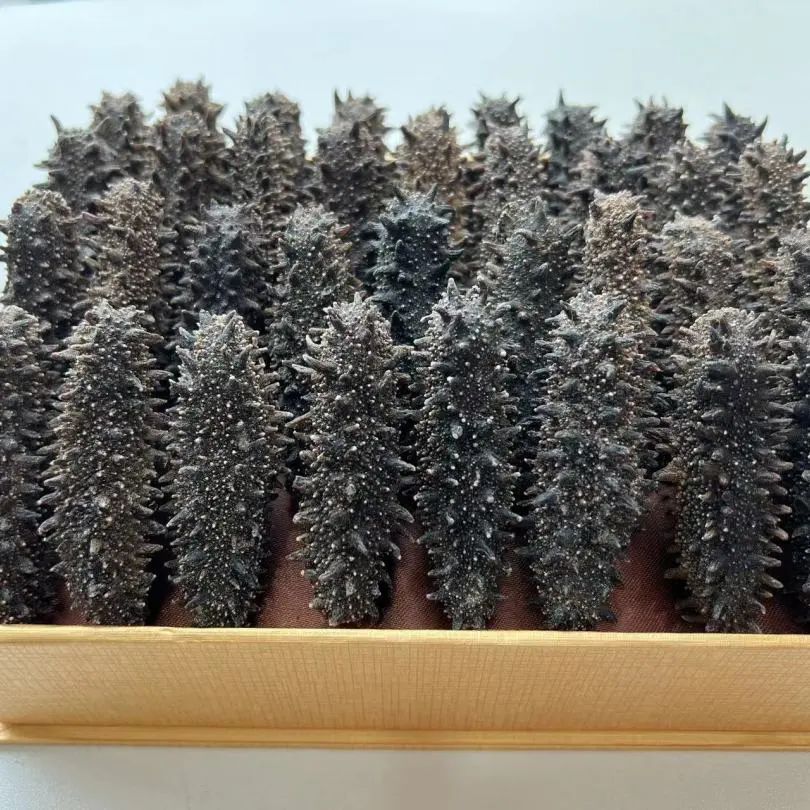 18館聯(lián)動(dòng)，18萬平米！上海漁博會(huì)規(guī)模升級(jí)，高端滋補(bǔ)館人氣火爆蓄勢(shì)待發(fā)！(圖88)