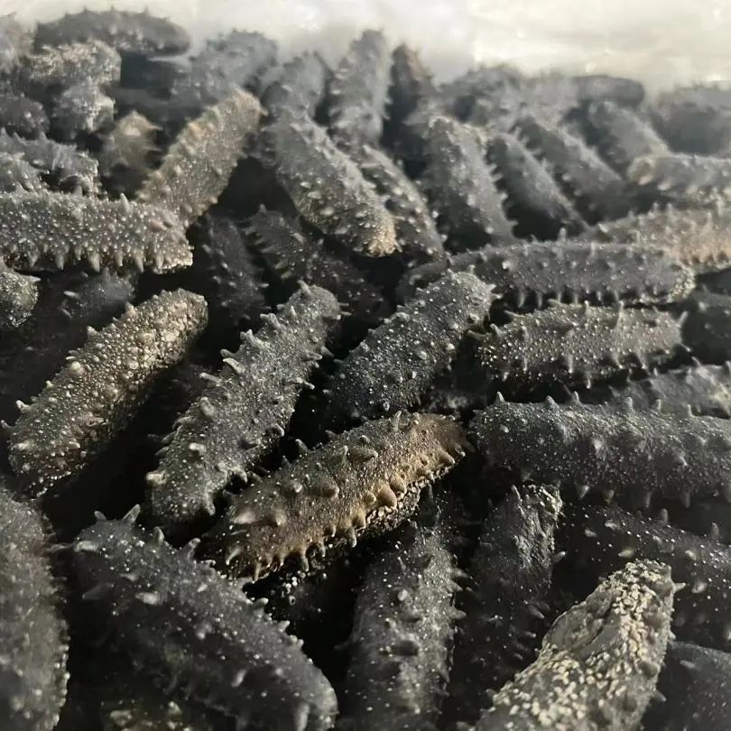 18館聯(lián)動(dòng)，18萬平米！上海漁博會(huì)規(guī)模升級(jí)，高端滋補(bǔ)館人氣火爆蓄勢(shì)待發(fā)！(圖89)