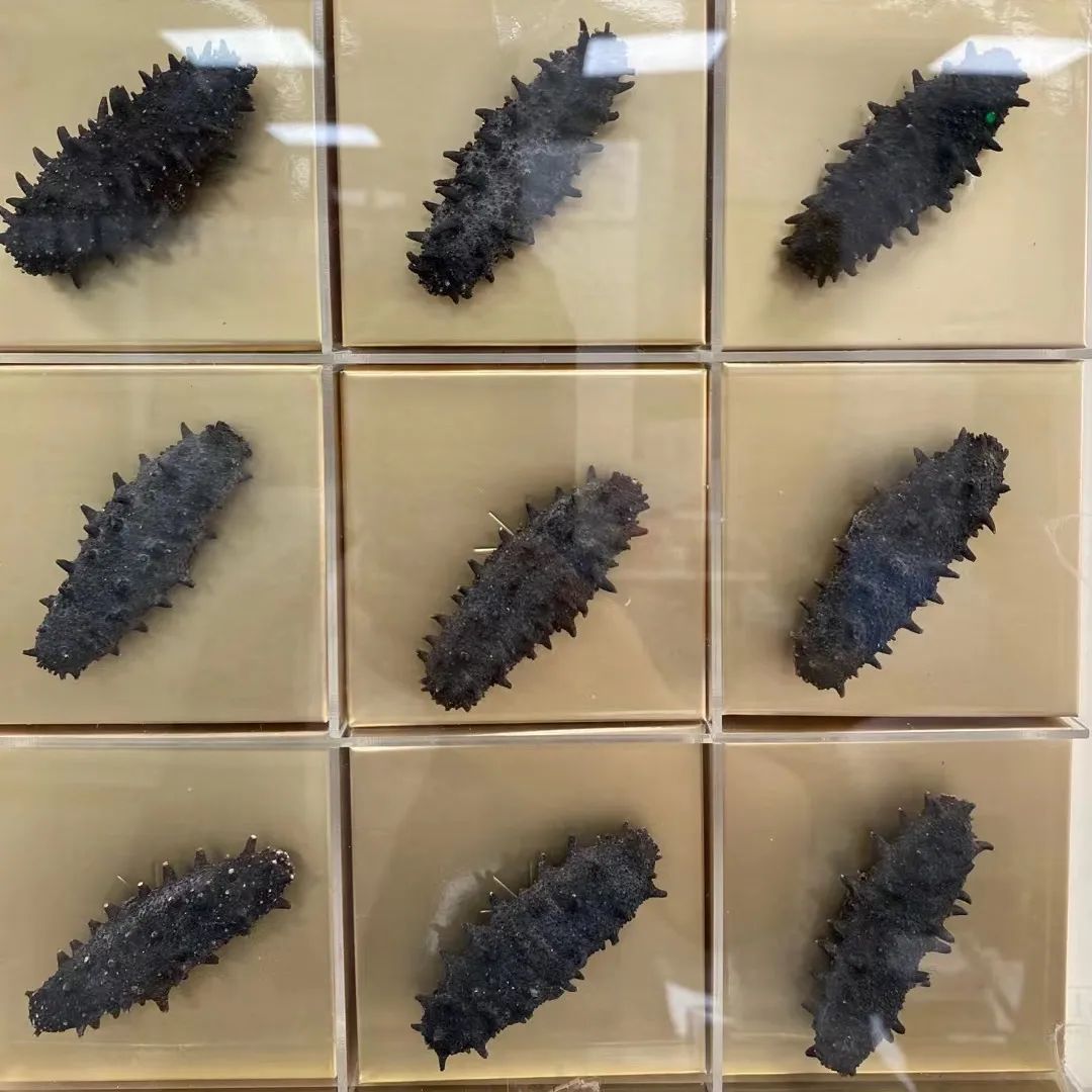 18館聯(lián)動(dòng)，18萬平米！上海漁博會(huì)規(guī)模升級(jí)，高端滋補(bǔ)館人氣火爆蓄勢(shì)待發(fā)！(圖90)